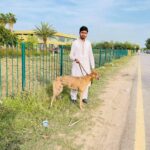 ASLAN ASHRAF GUJJAR